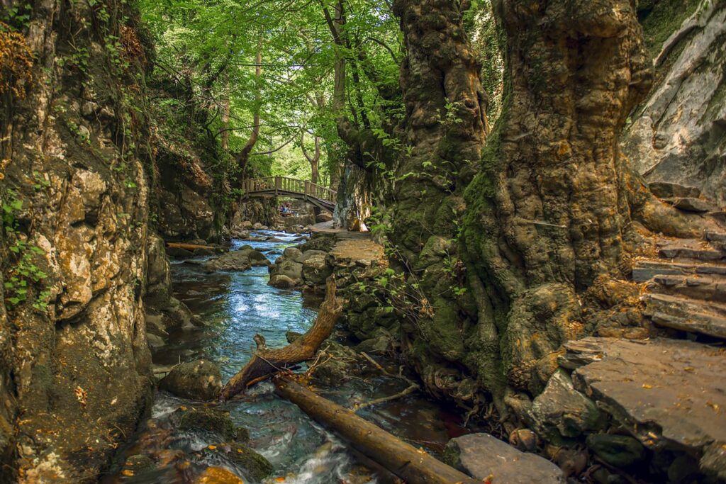 kaz dağları trekking